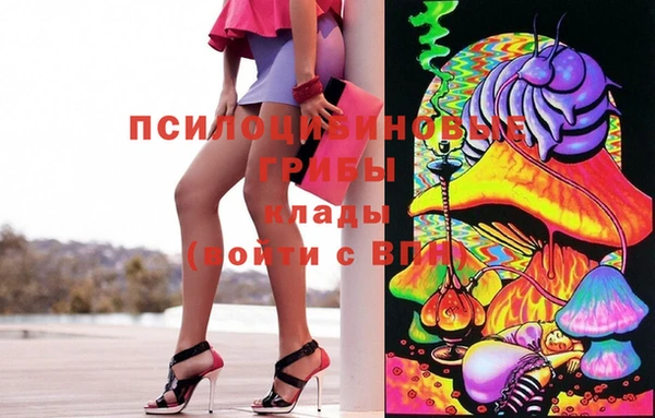 соль ск Лиски